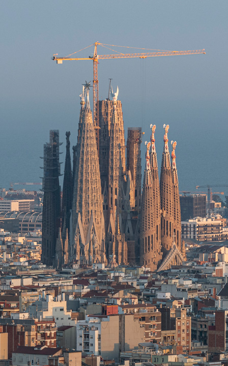 THE BASILICA