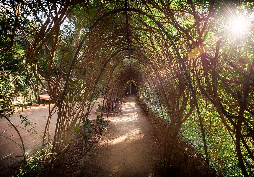 Pérgola que rodea el jardín