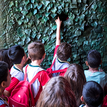 SCHOOL TOUR WITH GUIDE